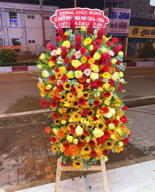 Hoa khai trương TCBL13