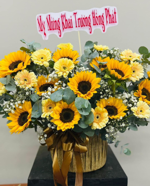 Hoa hướng dương chúc mừng khai trương 