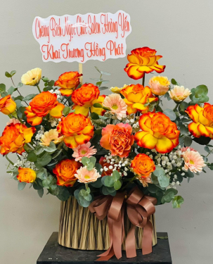 Hoa hồng  chúc mừng khai trương TC01