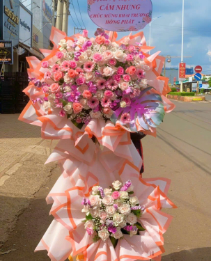 Hoa Khai Trương giá tốt Long An TC1 