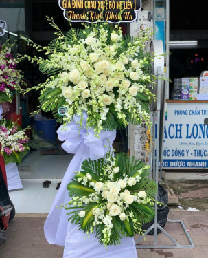 Hoa chia buồn hoa hồng trắng 