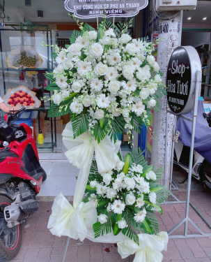 Hoa chia buồn đồng tiền trắng - hoa hồng trắng 