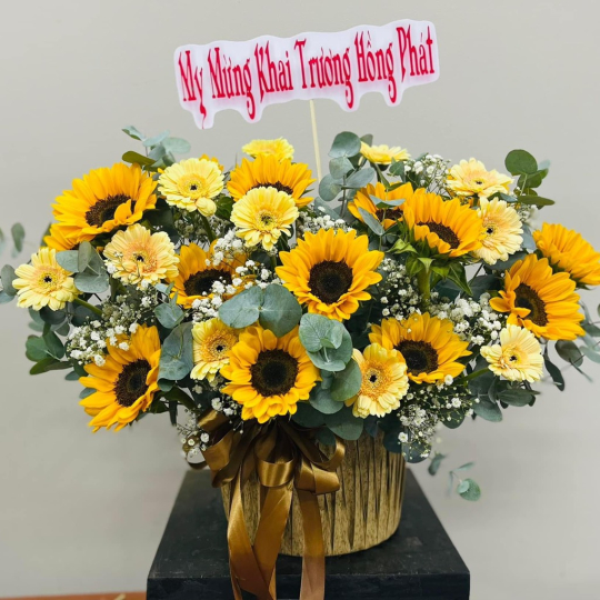 Hoa hướng dương chúc mừng khai trương 