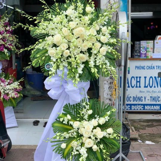 Hoa chia buồn hoa hồng trắng 